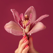 Orchidee-quadrat
