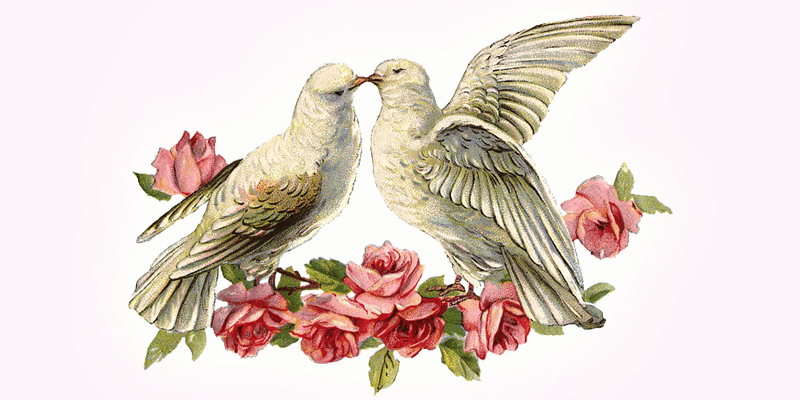 Valentine’s Shopping
